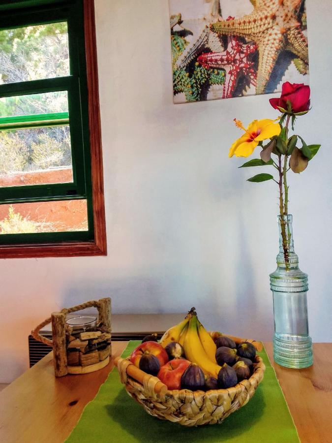 Las TriciasCasa Flor Azul别墅 外观 照片